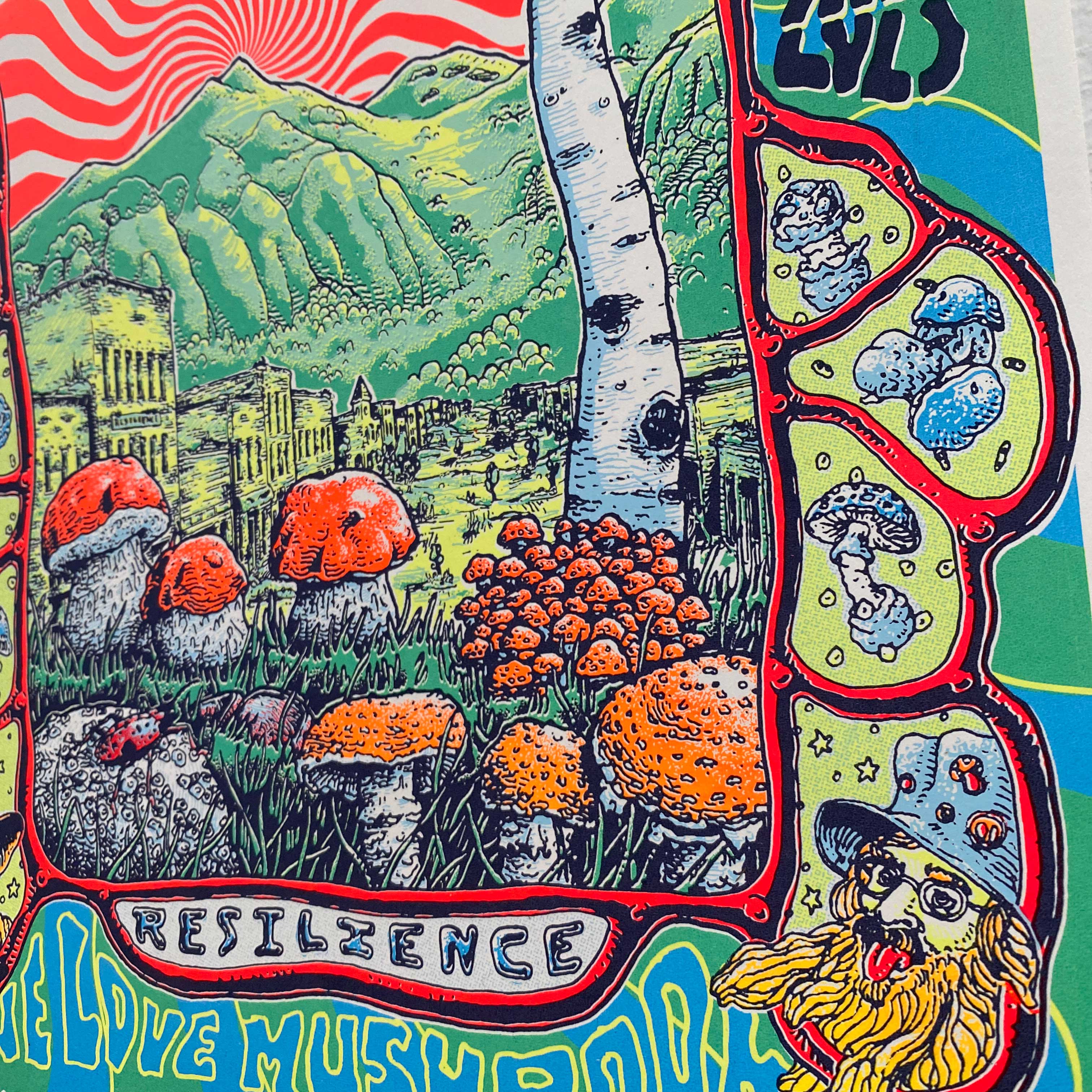 2023 Telluride Mushroom Festival Limited Poster