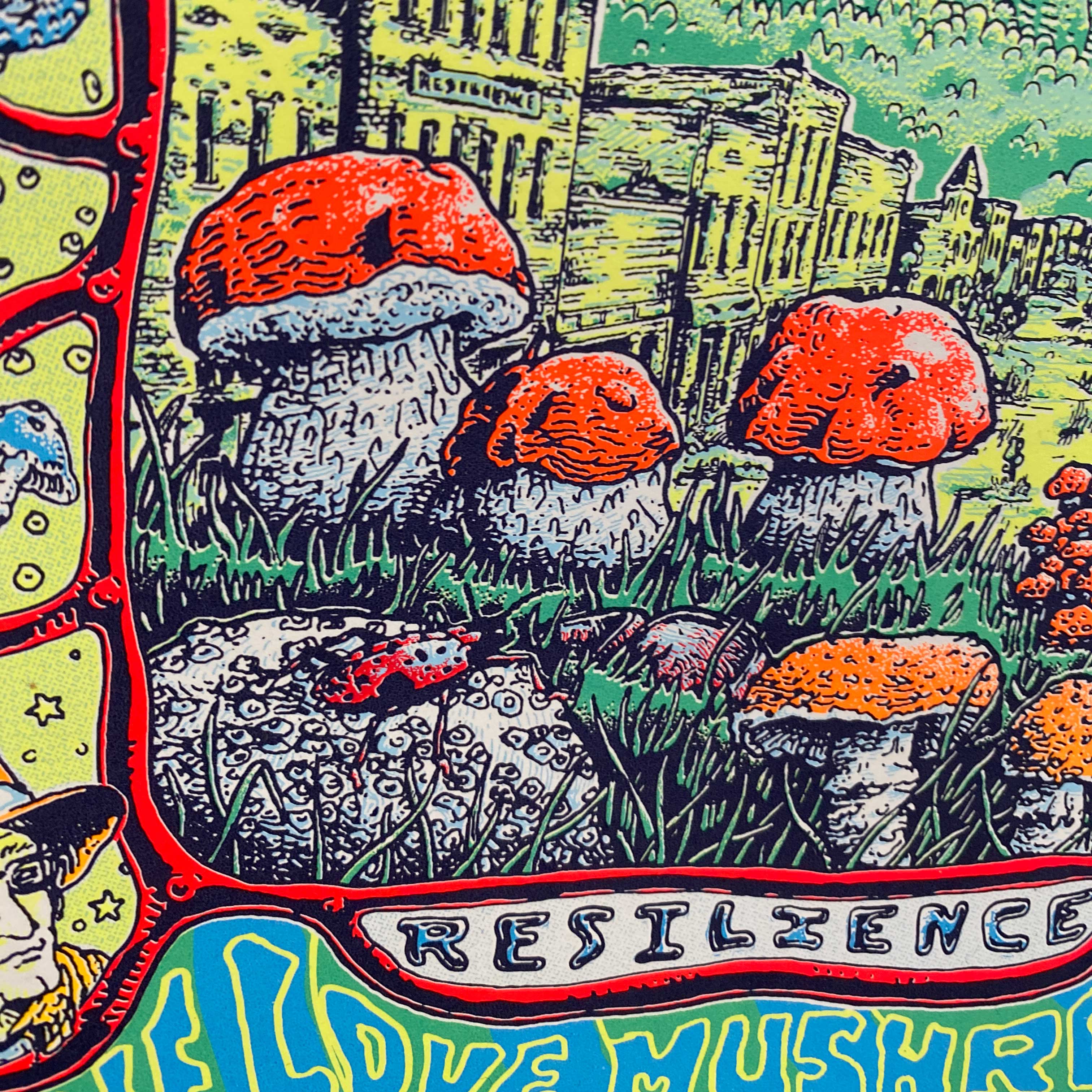 2023 Telluride Mushroom Festival Limited Poster