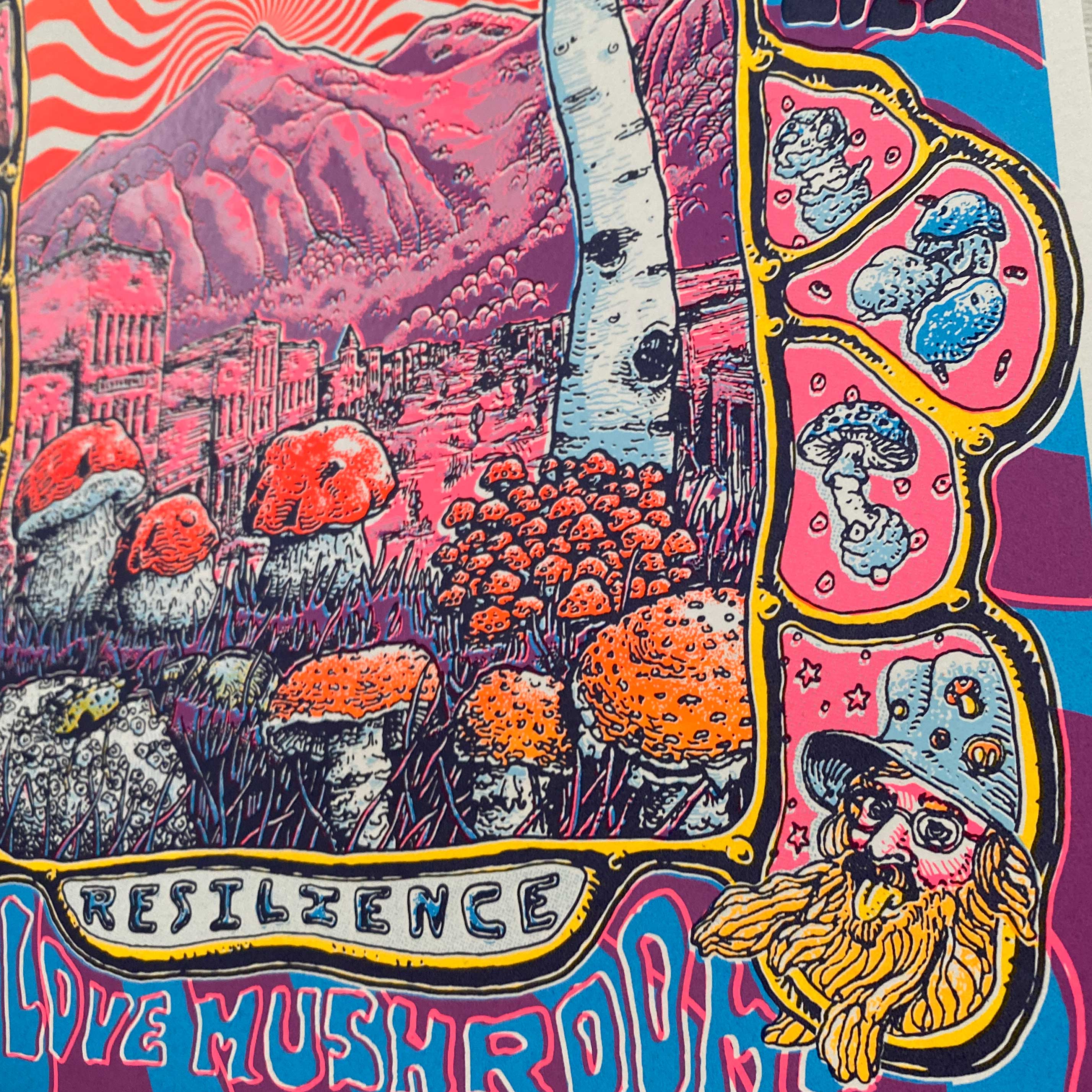 2023 Telluride Mushroom Festival Limited Poster