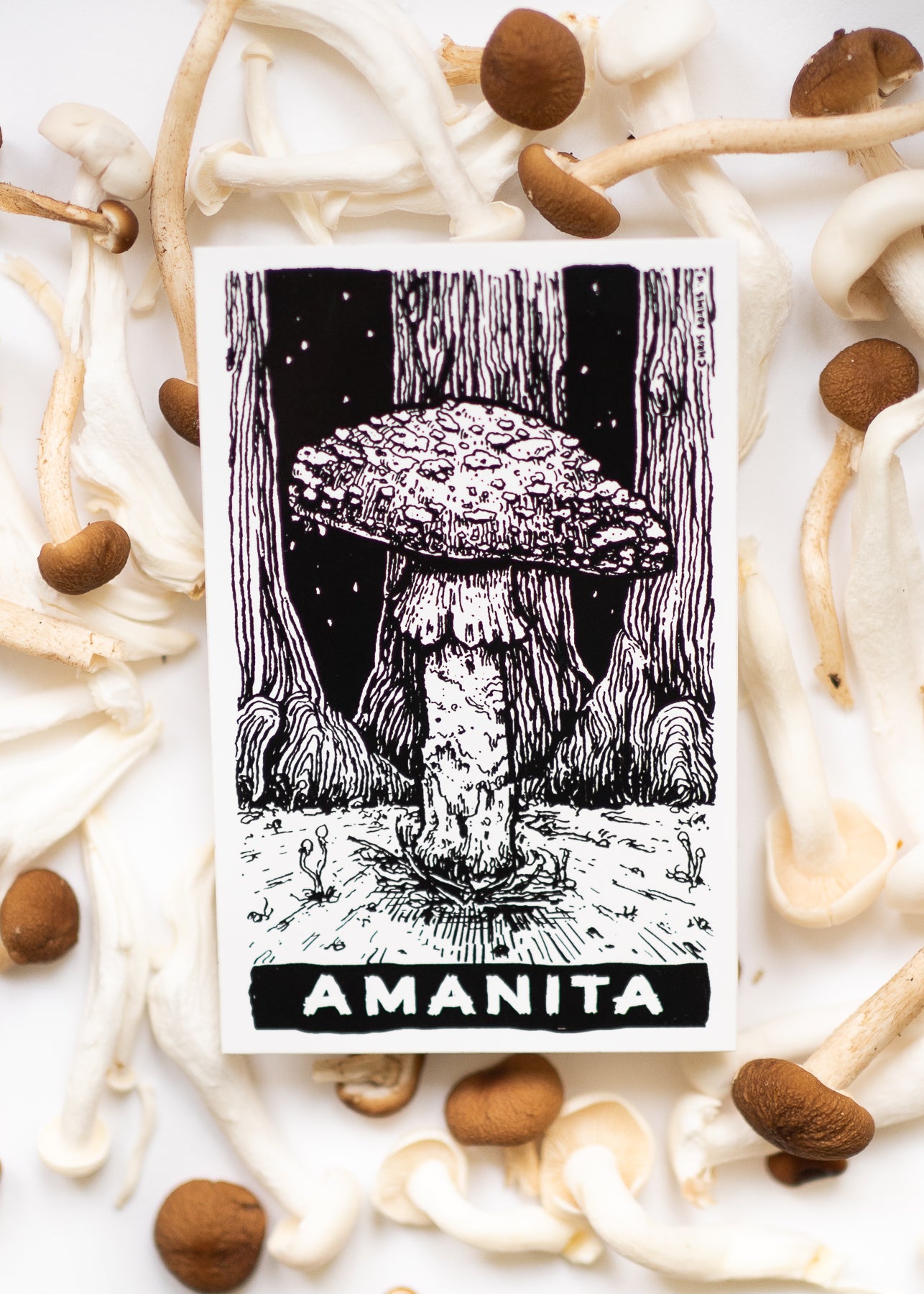 Sporelust! Amanita Mushroom Sticker