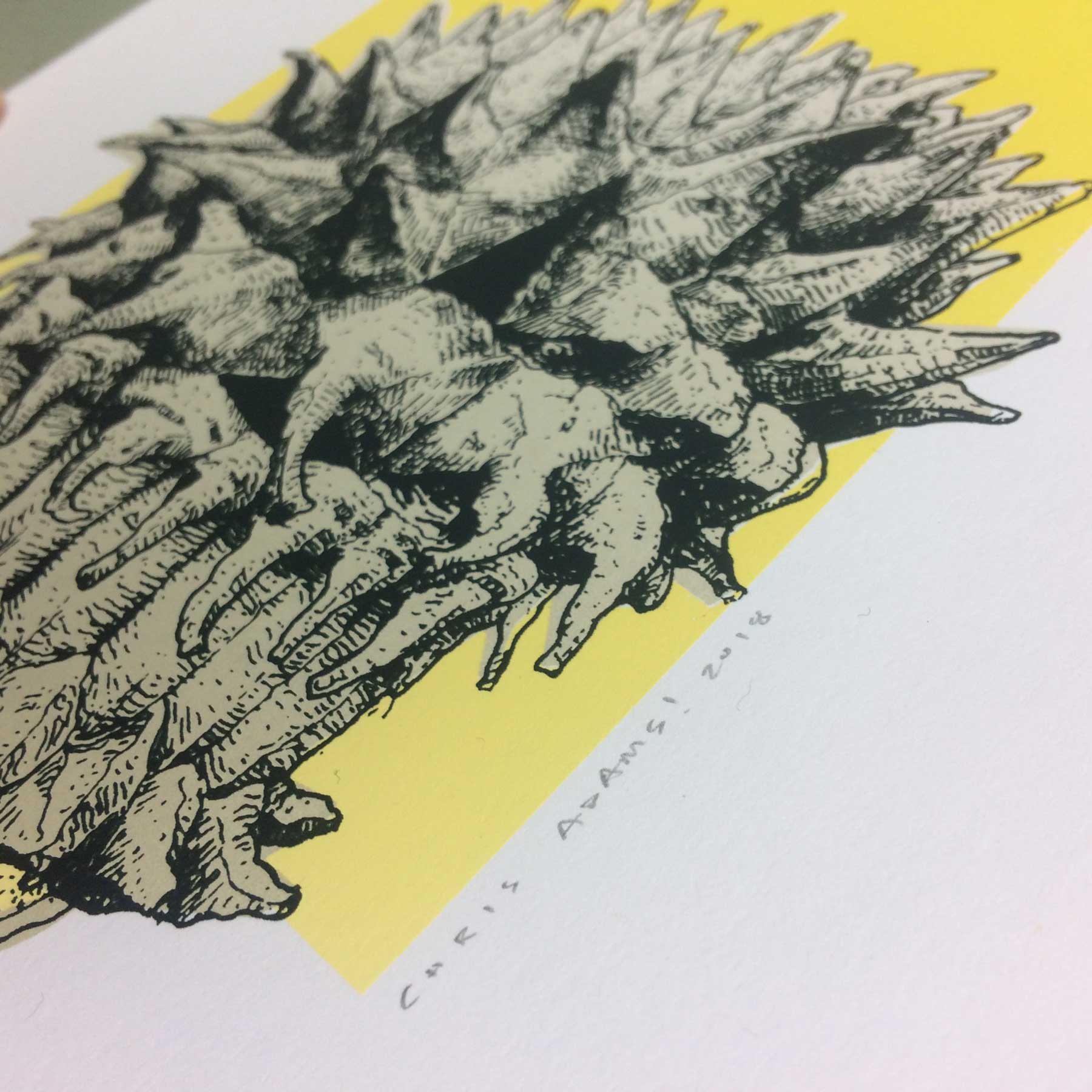 Calvatia sculpta, Puffball Mushroom Art Print