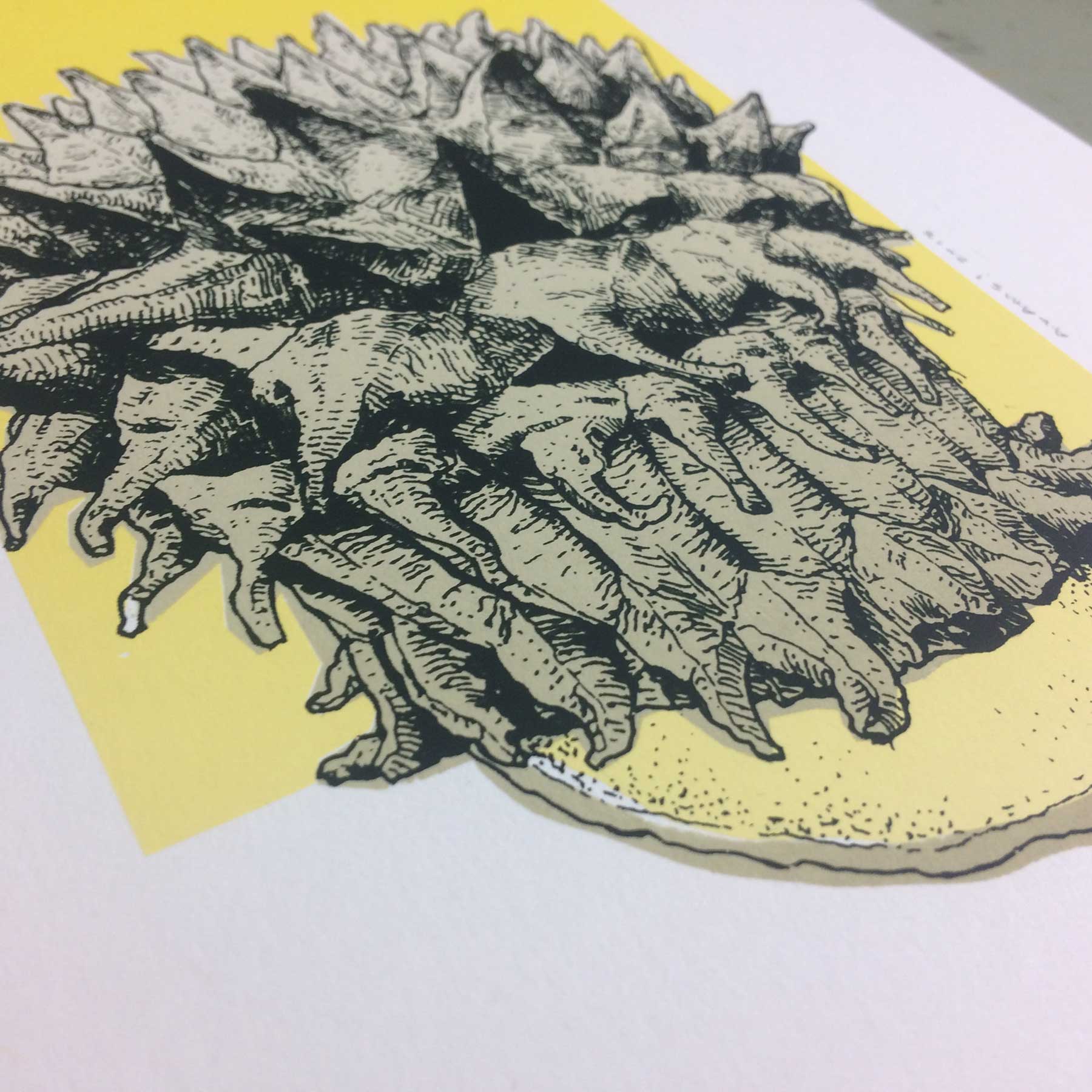 Calvatia sculpta, Puffball Mushroom Art Print