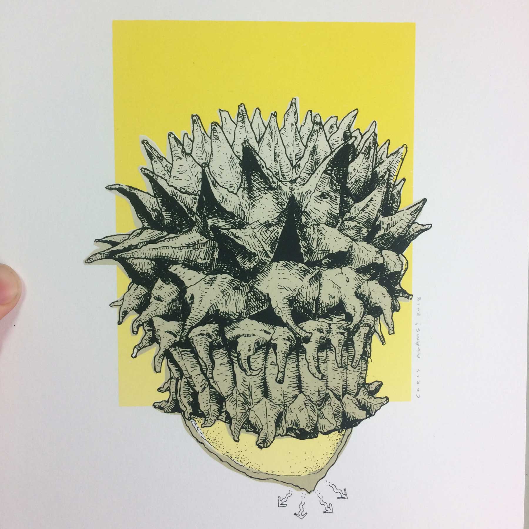 Calvatia sculpta, Puffball Mushroom Art Print