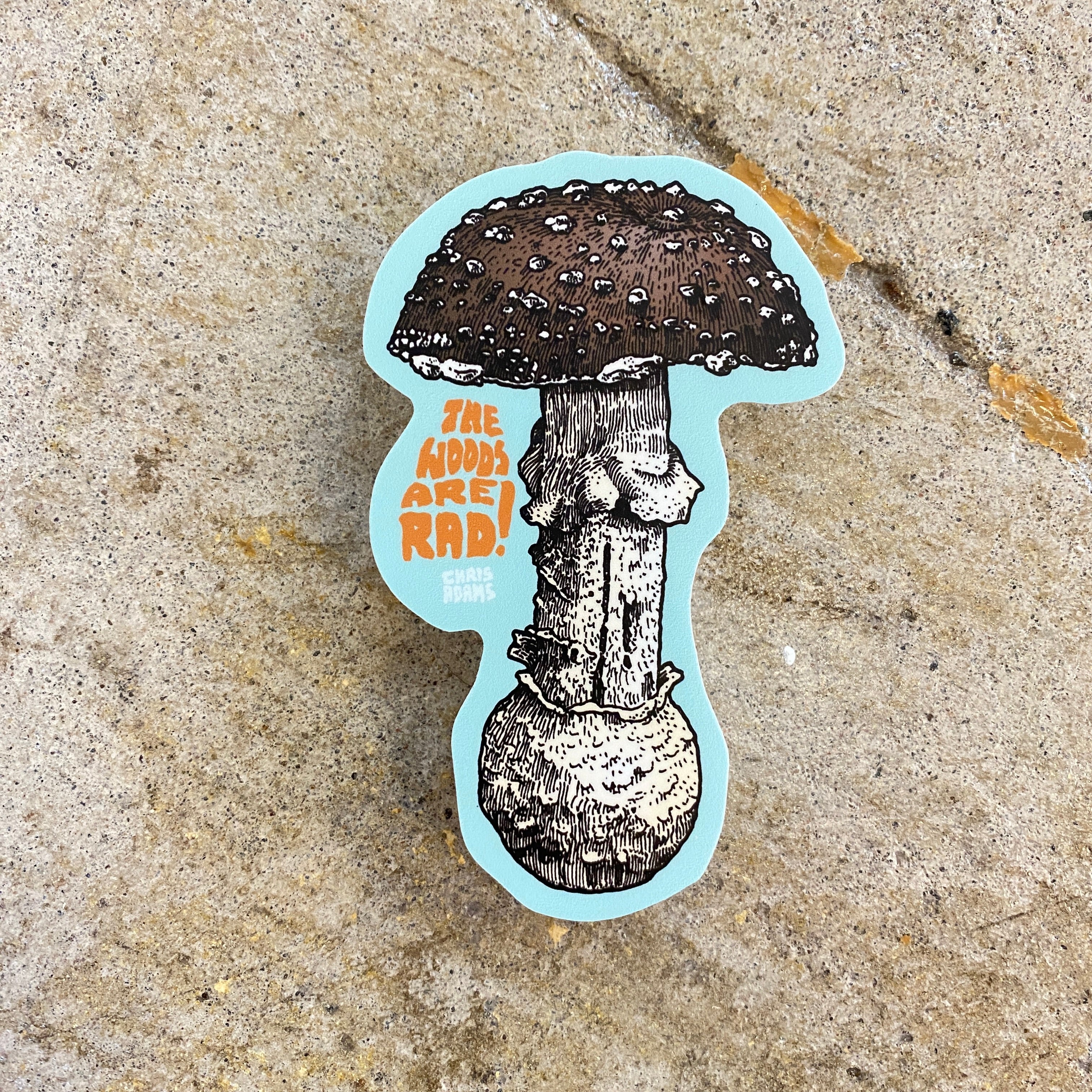 TWAR Amanita Sticker