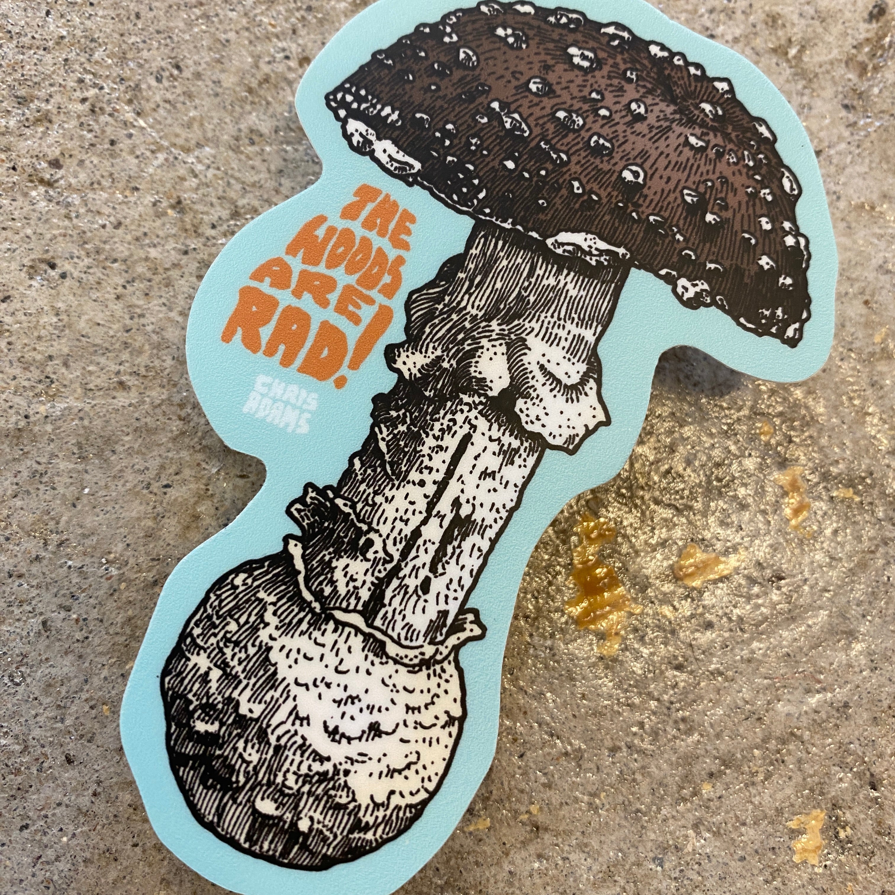 TWAR Amanita Sticker