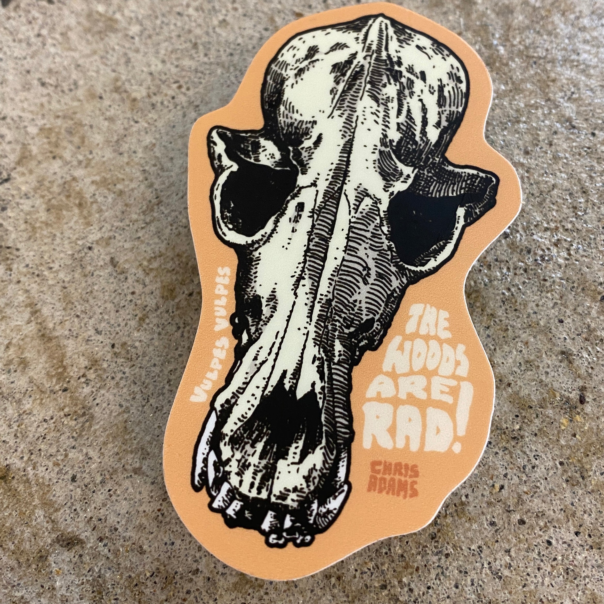 The Woods Are Rad Fox Skull Sticker