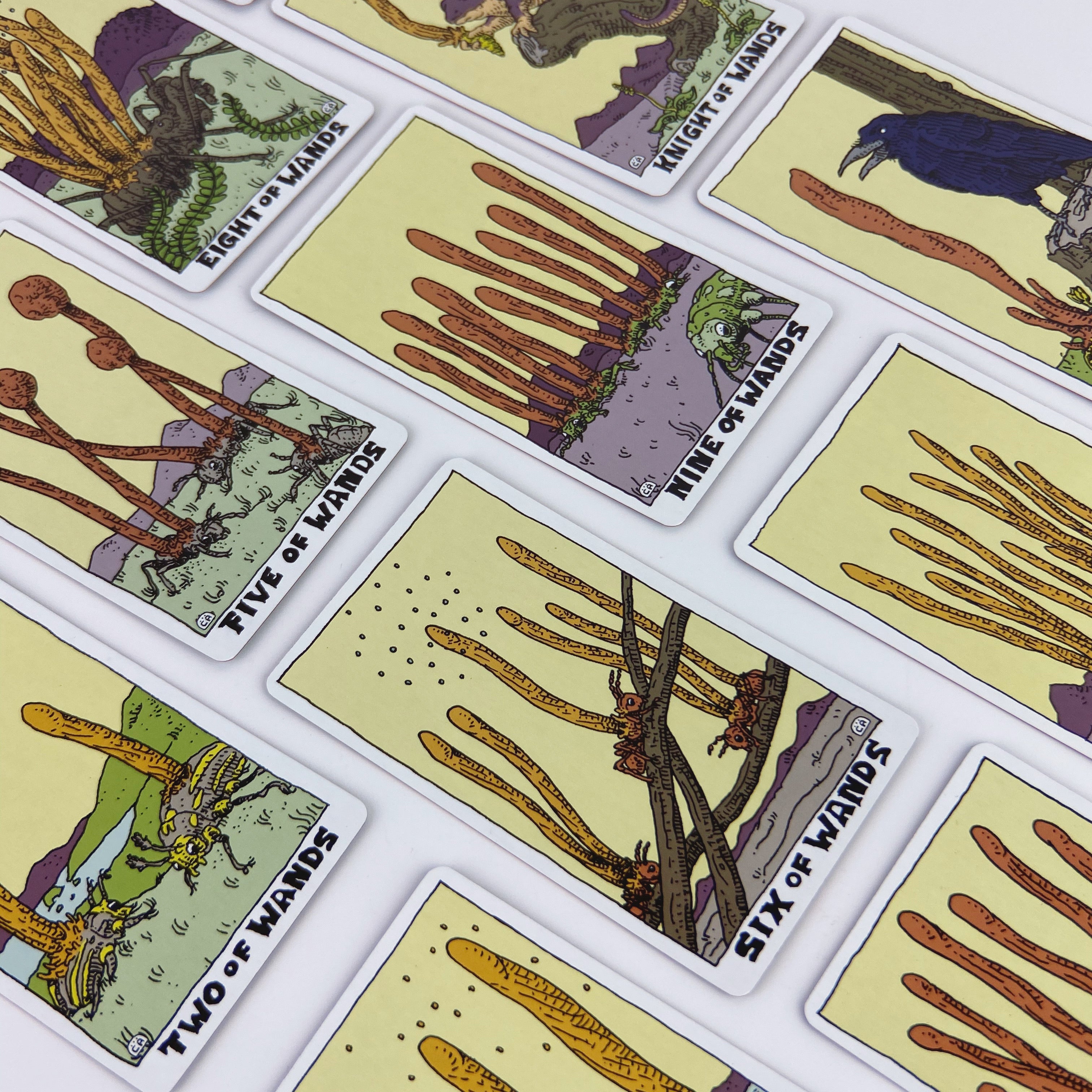 The Mushroom Tarot Deck, 2nd Edition