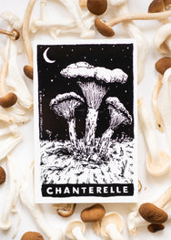 Sporelust! Chanterelle Mushroom Sticker