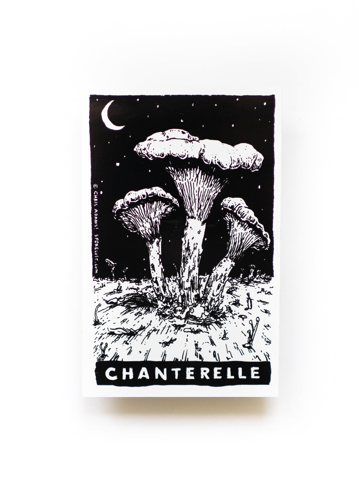 Sporelust! Chanterelle Mushroom Sticker