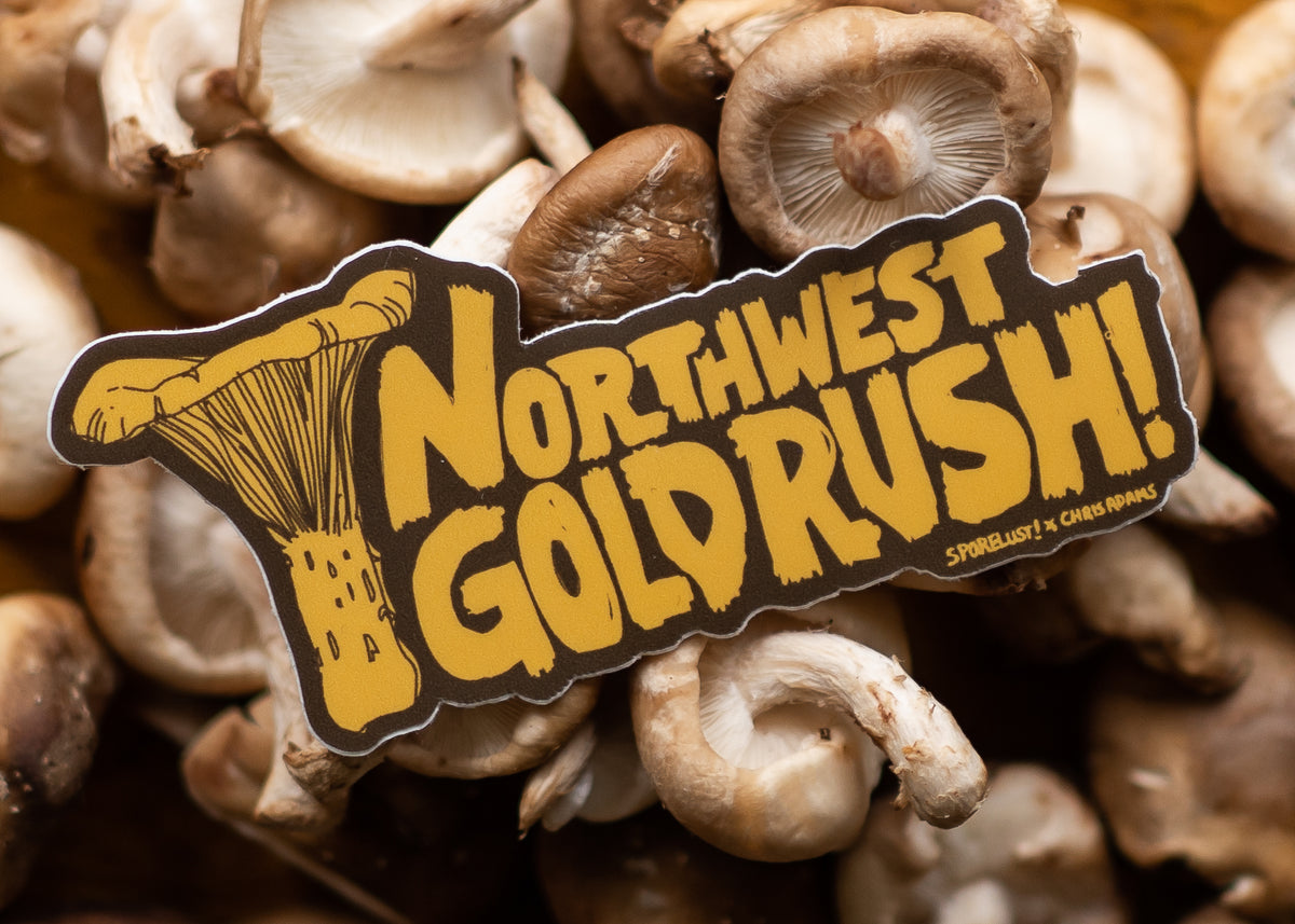 Northwest Gold Rush Sticker
