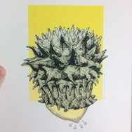 Calvatia sculpta, Puffball Mushroom Art Print