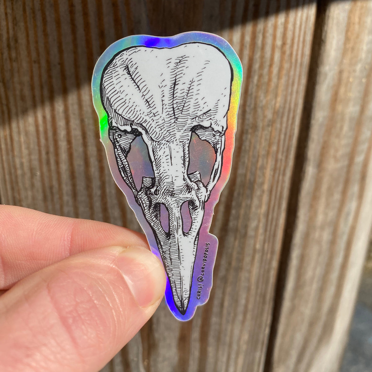 Holographic Rainbow Crow Skull Sticker